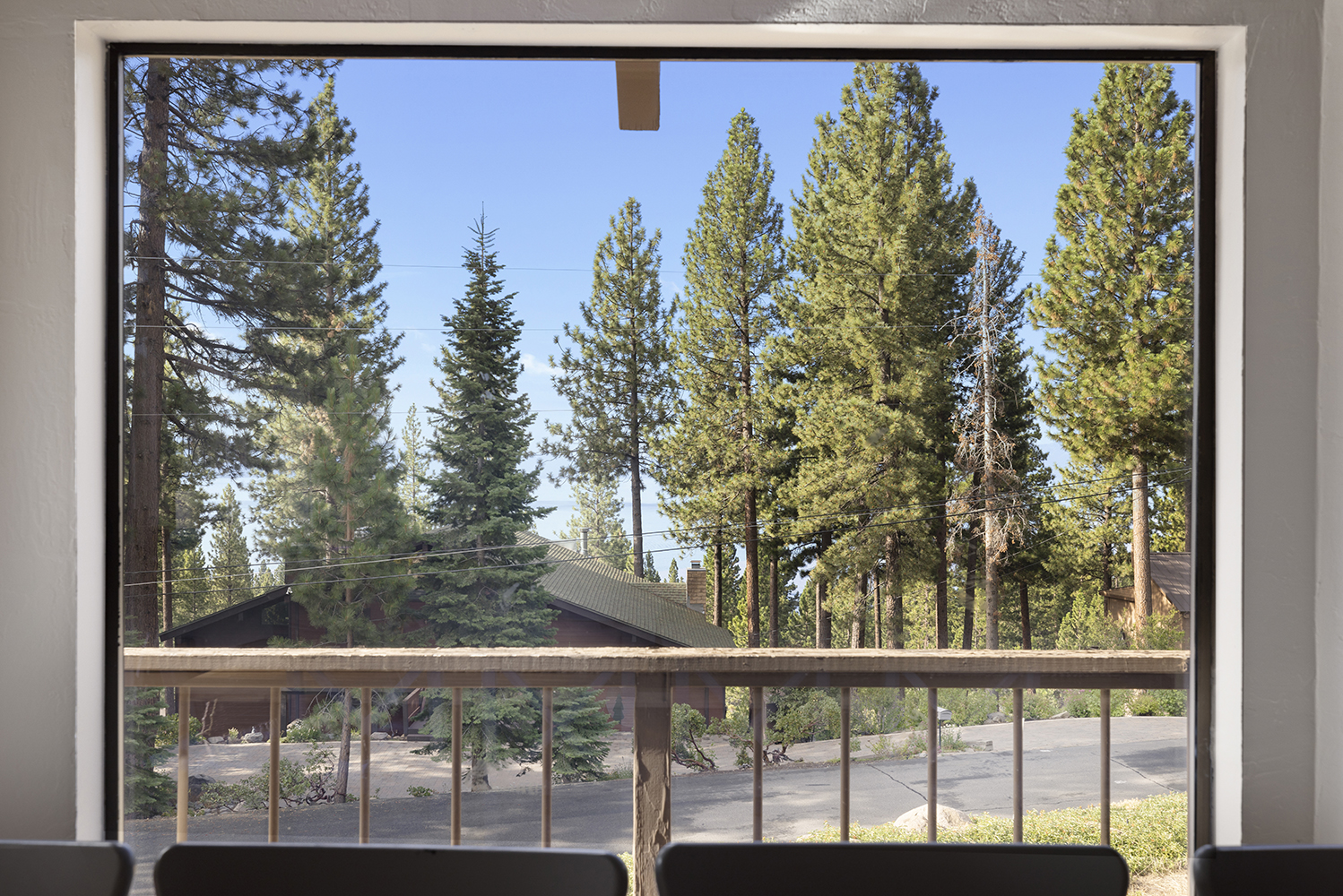 Tall pines through a picture window at Kinpine House, past the deck railing