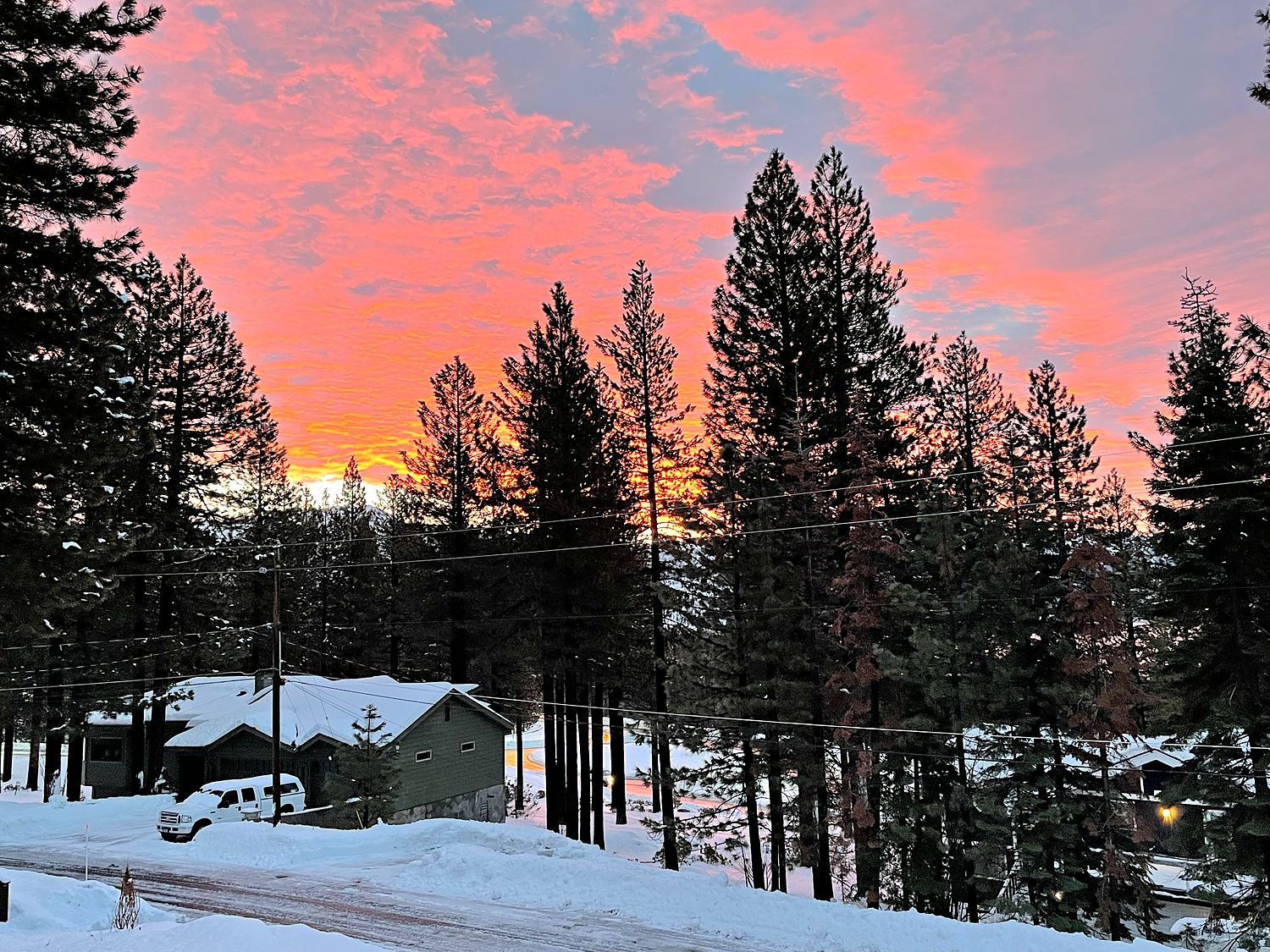 A pink and orange winter sunrise over tall pines and snowy rooftops in Incline Village